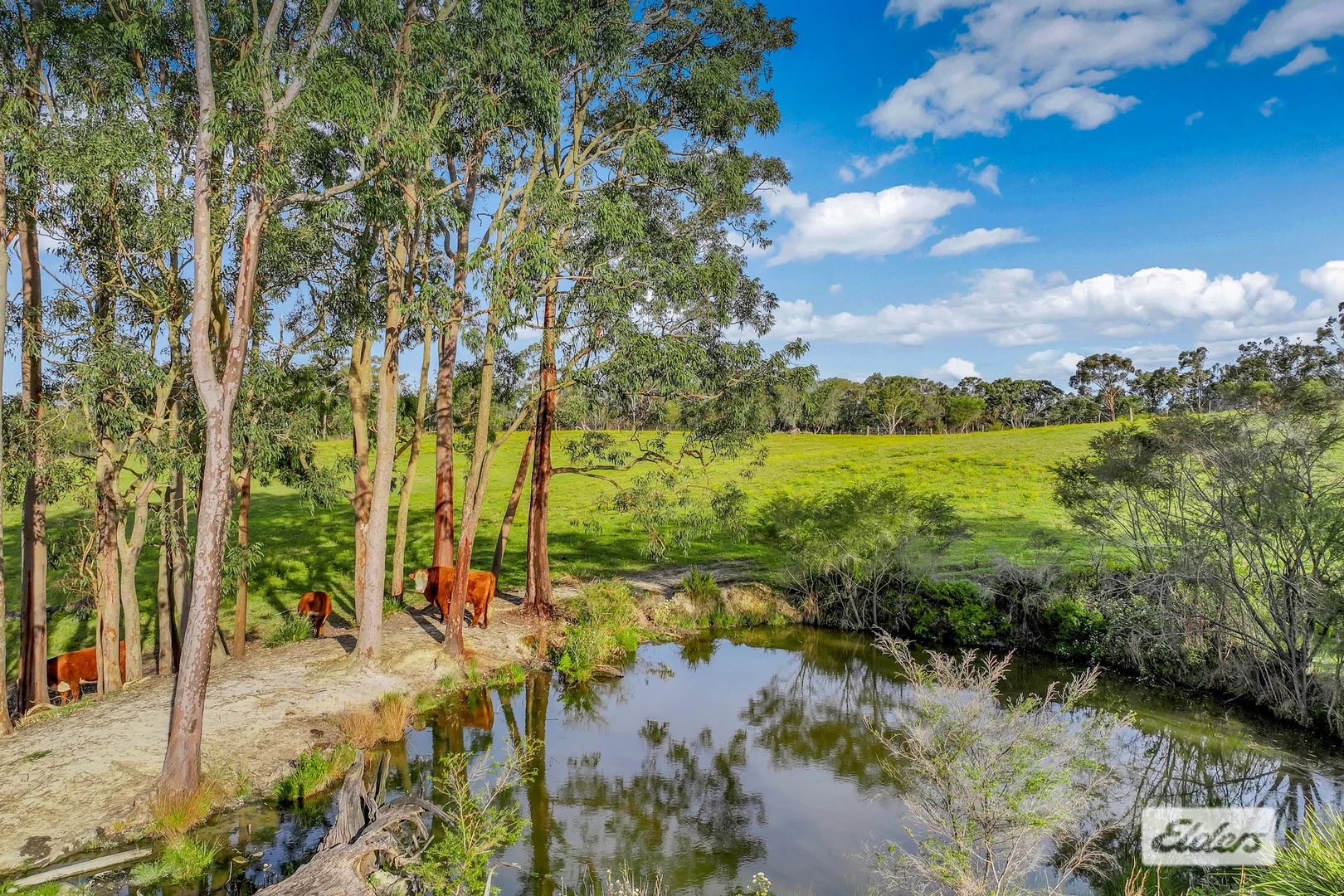 Additional image 29 of 735 Ironbark Road, Mangrove Mountain NSW 2250