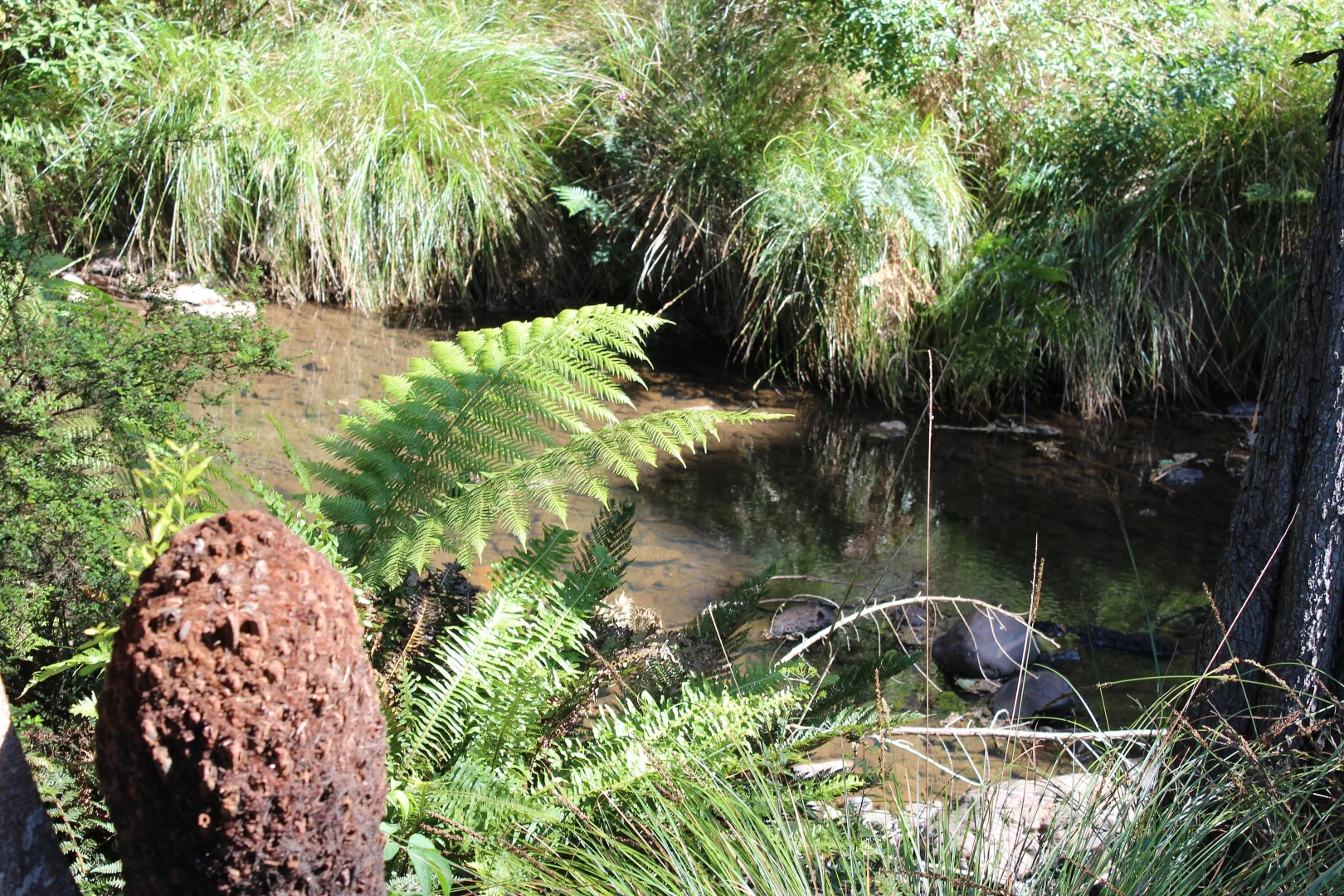 Additional image 4 of 188 Bassett's Road, Calder TAS 7325