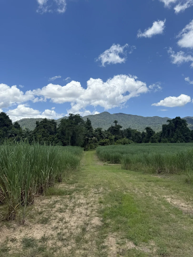 Additional image 11 of 53 Scougall Road, Jarra Creek QLD 4854