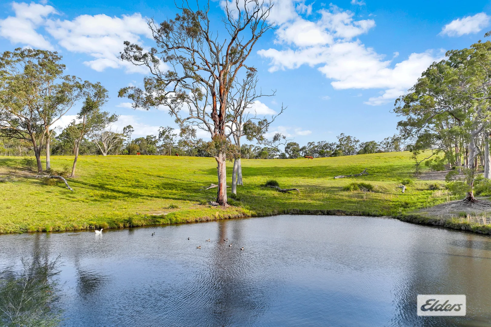 Additional image 4 of 735 Ironbark Road, Mangrove Mountain NSW 2250