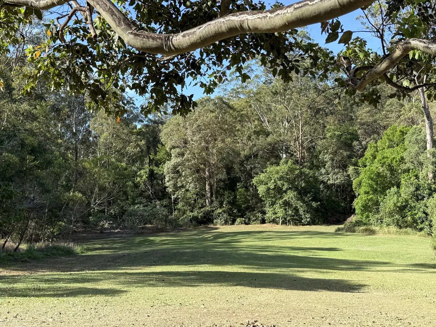 Additional image 29 of 5 Tanby Court, Mudgeeraba QLD 4213