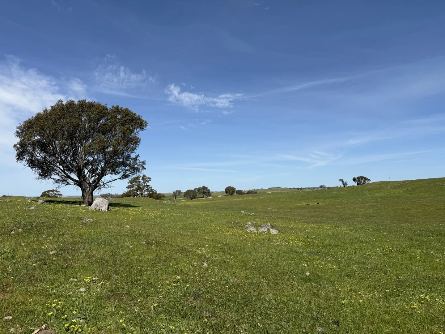 Additional image 6 of Lot 115 Mcgormans Road, Tungkillo SA 5236