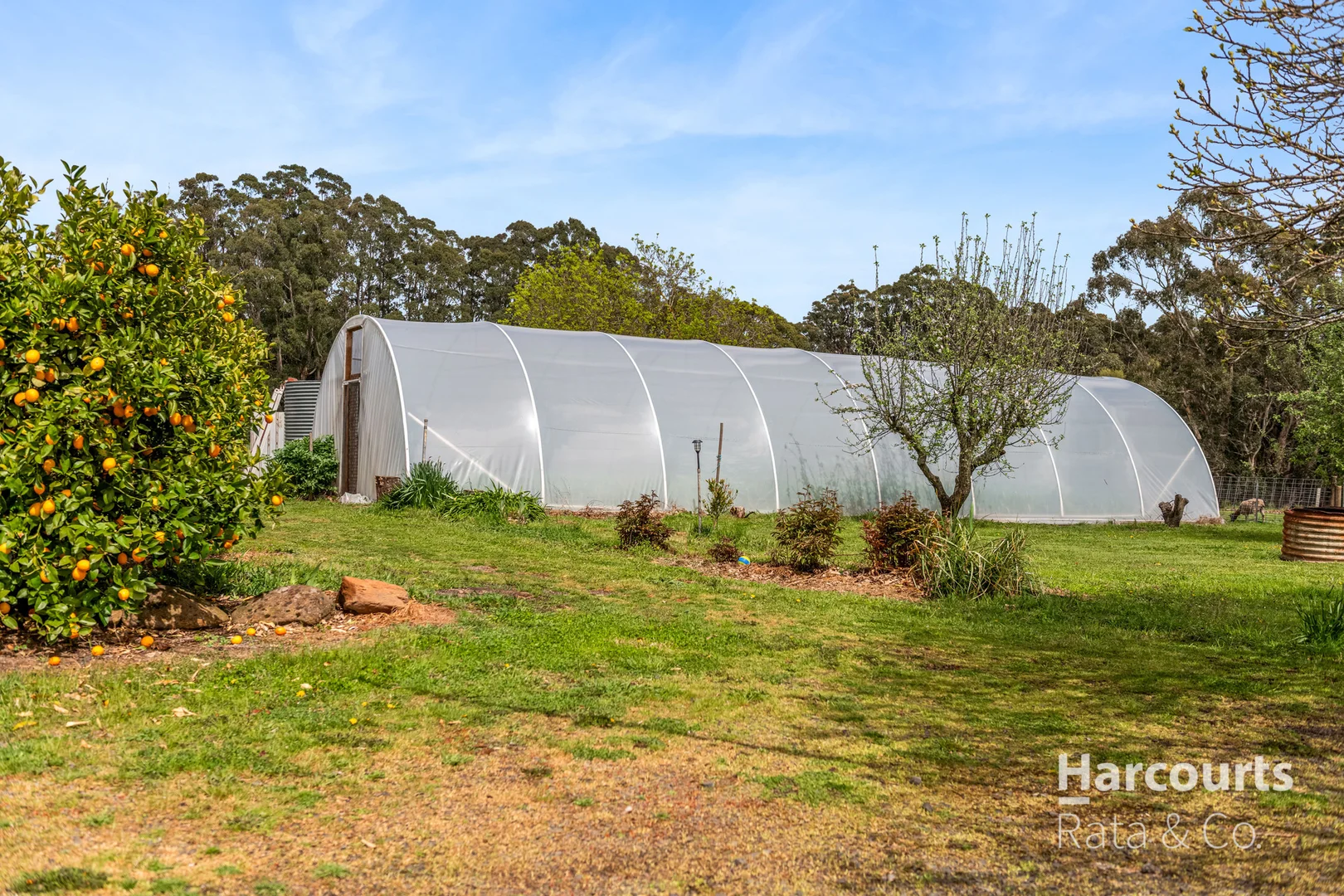 Additional image 13 of 1459 Daylesford-Trentham Road, Lyonville VIC 3461