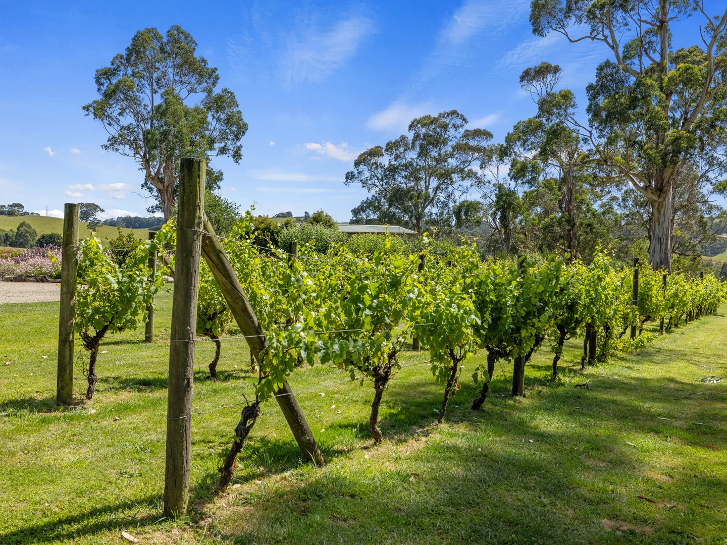 Additional image 26 of 8795 South Gippsland Highway, Korumburra VIC 3950