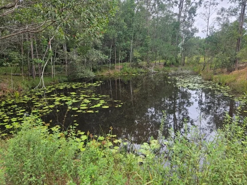 Additional image 3 of 0 Davis Road, Bauple Forest QLD 4650