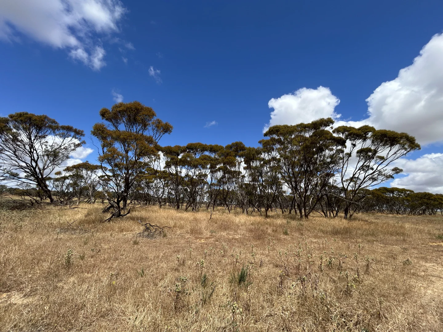 Additional image 23 of 905 Coomberdale Road West, Coomberdale WA 6512