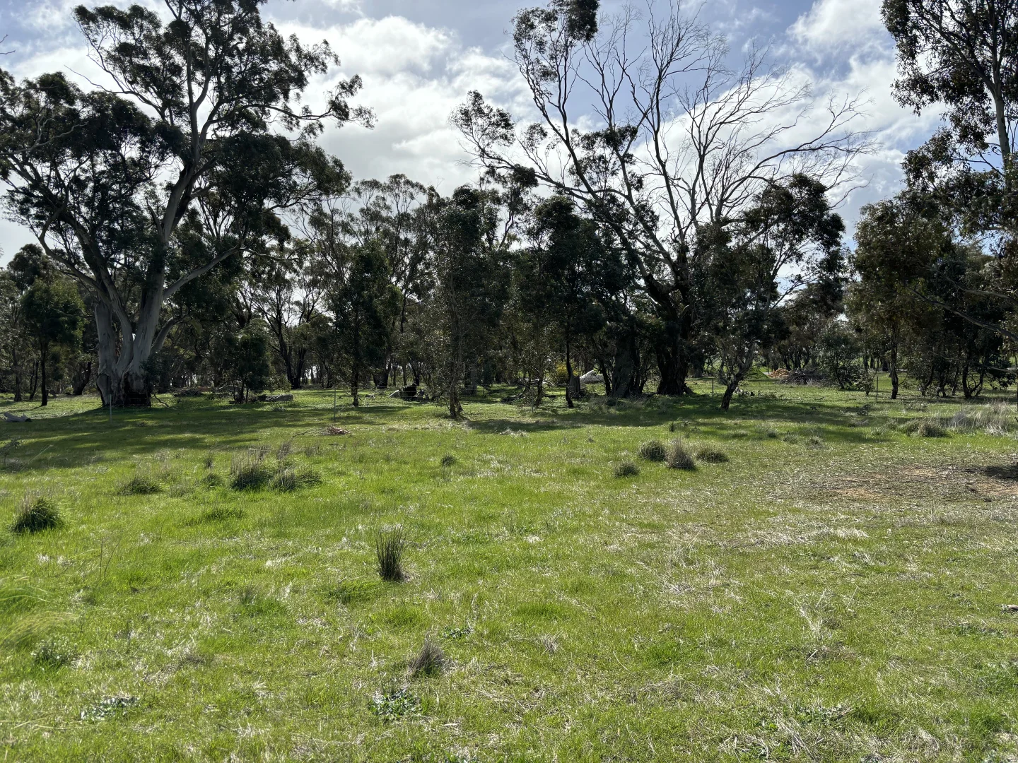 Additional image 29 of 00 St Arnaud - Wycheproof Road, St Arnaud VIC 3478