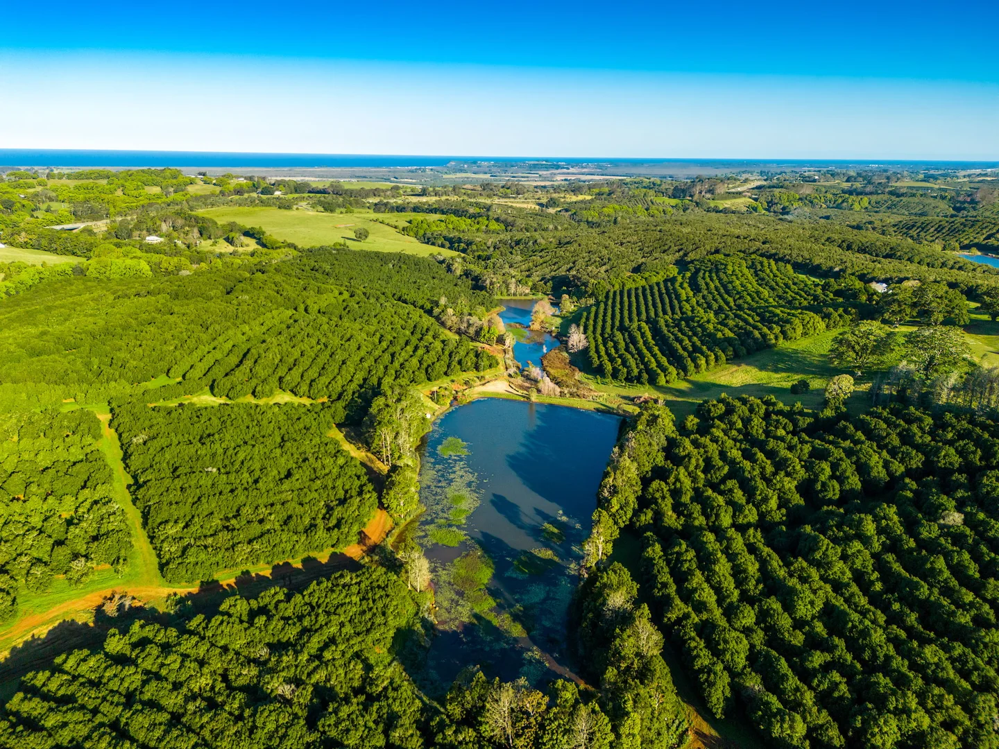 Additional image 4 of 145 Brooklet Road, Newrybar NSW 2479