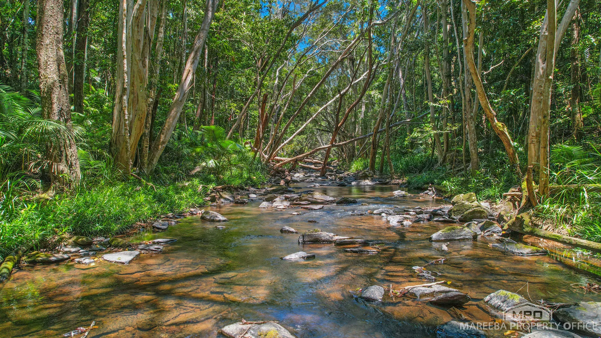 Additional image 20 of 4532 Black Mountain Road, Julatten QLD 4871