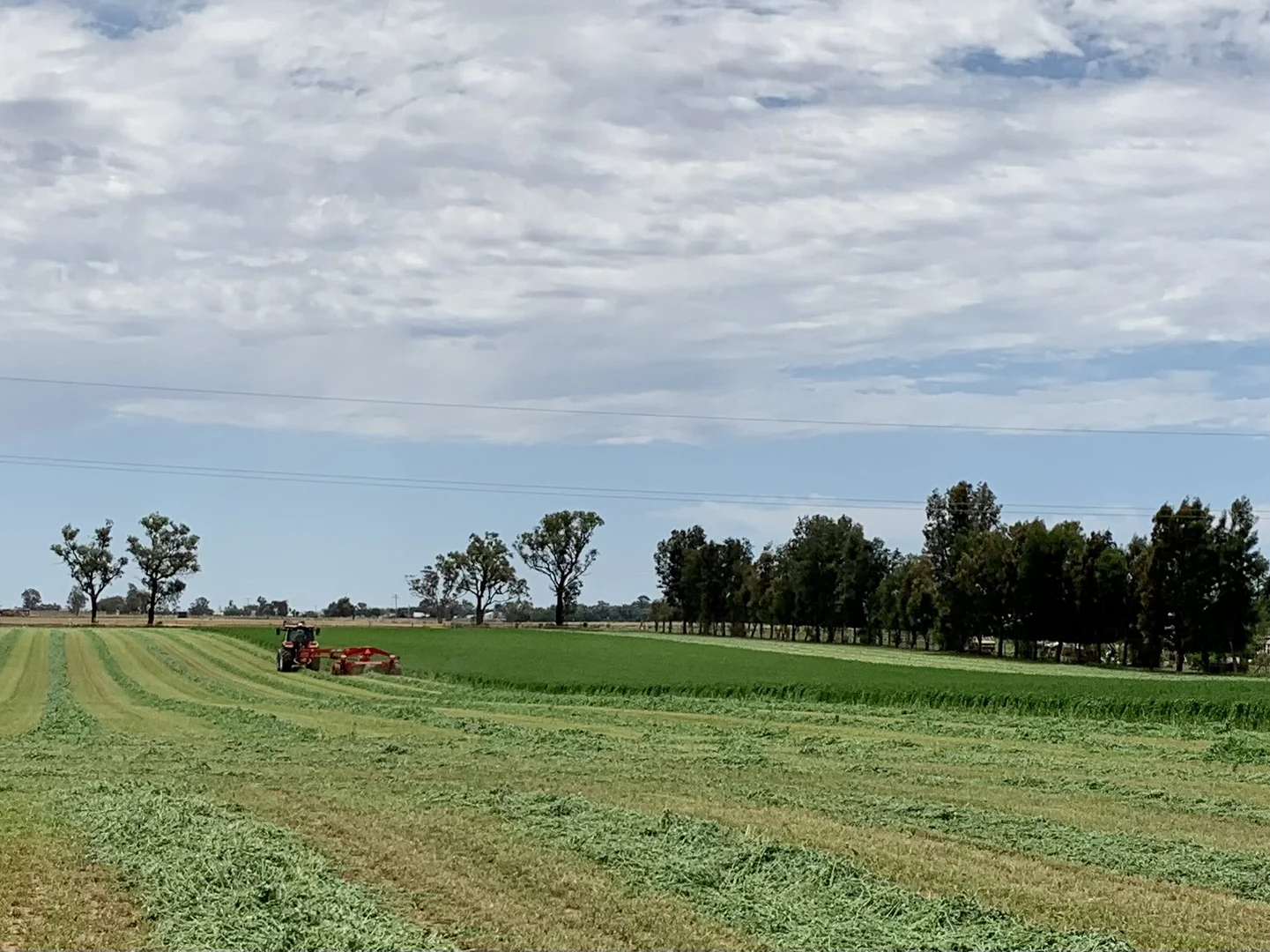 Additional image 9 of 149 Old Backwater Rd, Narromine NSW 2821