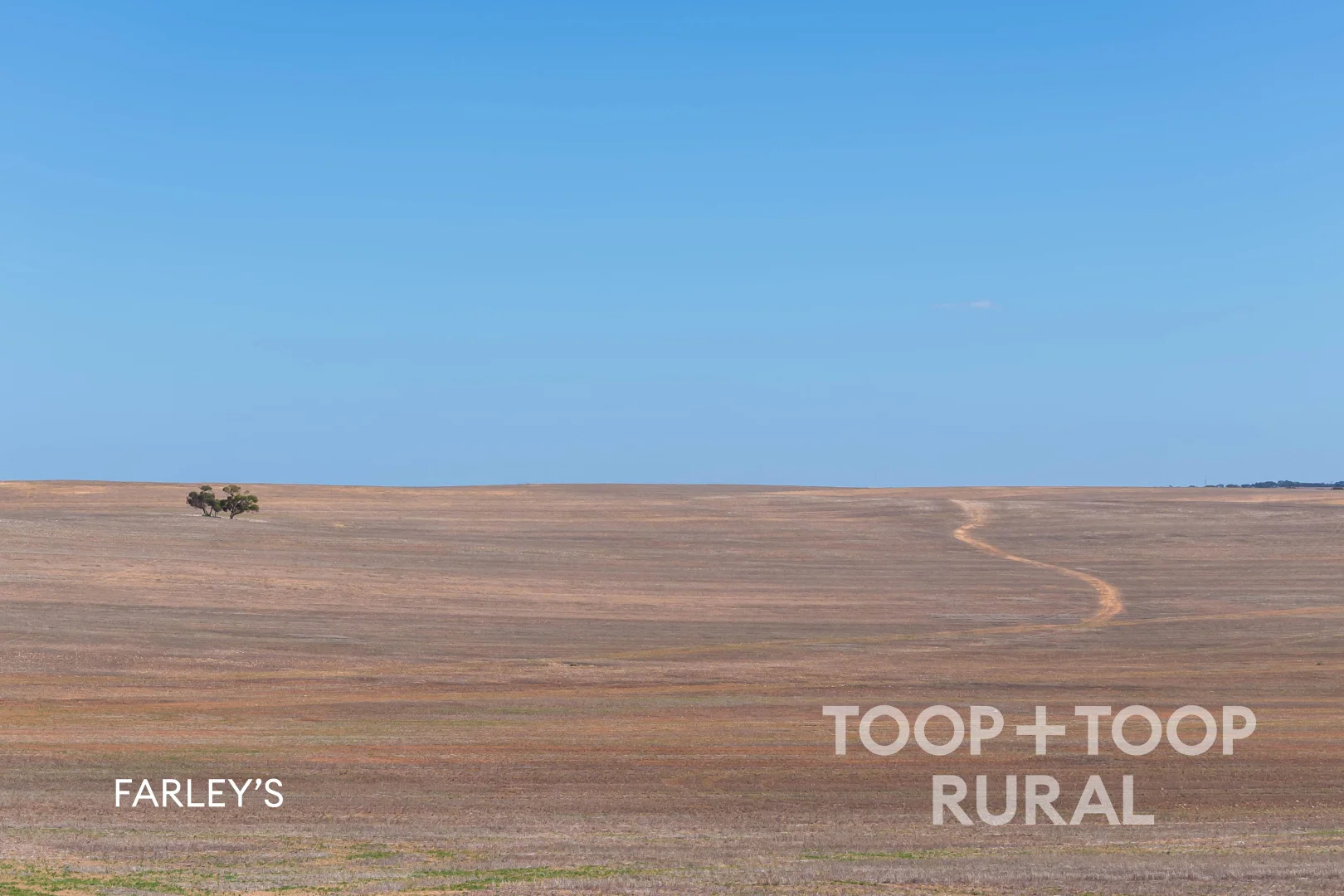 Additional image 12 of 833 Walshs Bore Road, Copeville SA 5308