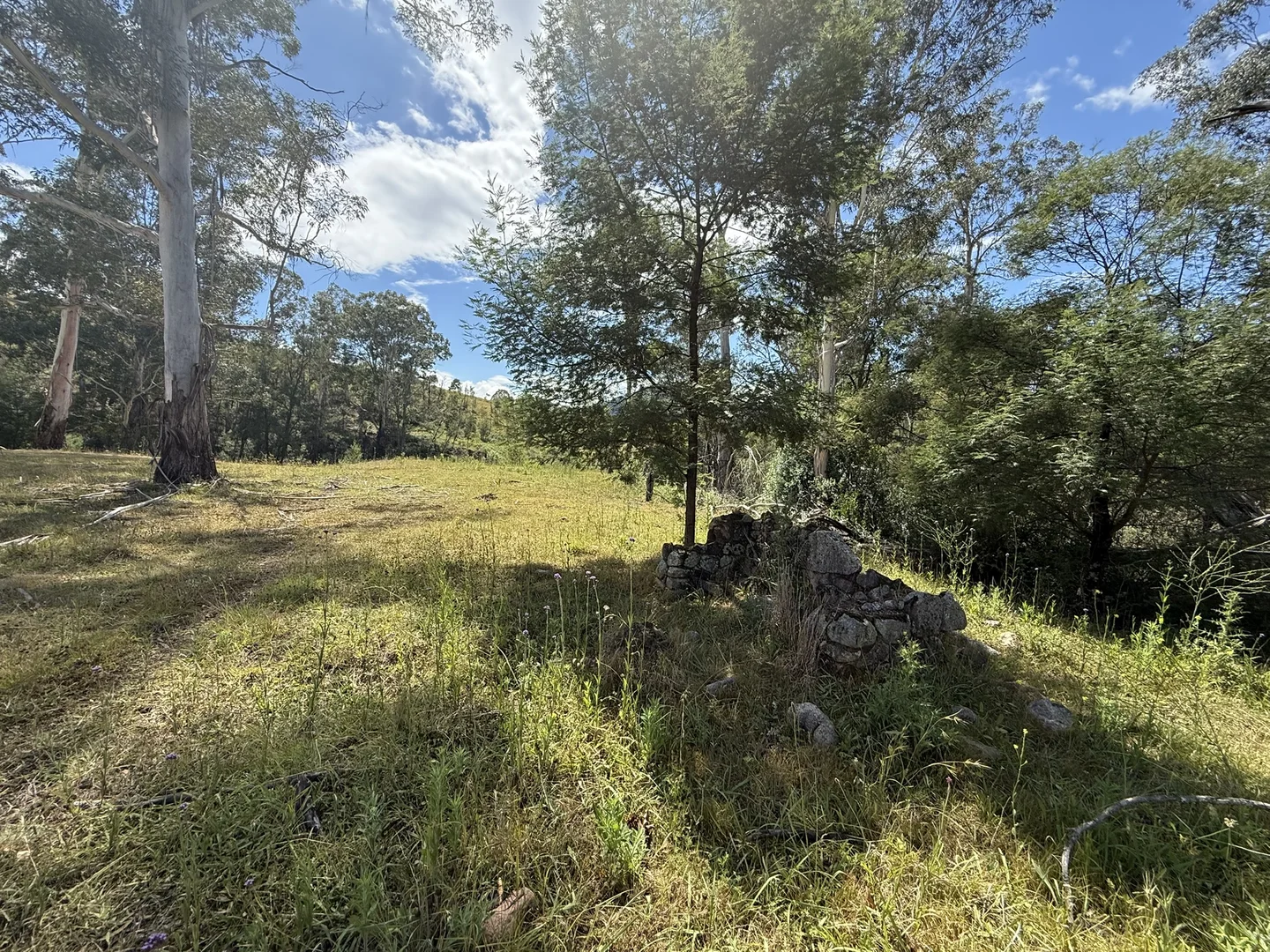 Additional image 27 of 3/1076 Neringla Road, Braidwood NSW 2622