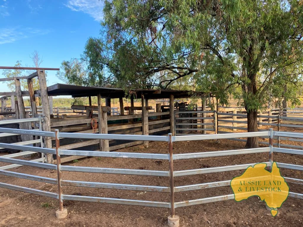 Additional image 56 of 2360 MONTO MOUNT PERRY ROAD, Yarrol QLD 4630