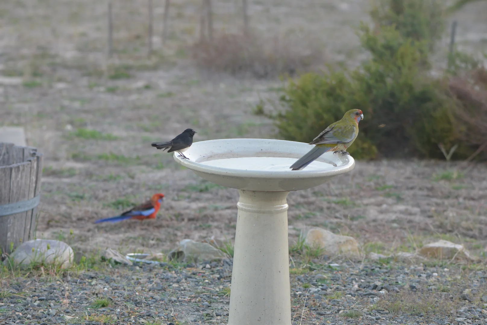 Additional image 84 of 839 Signal Flat Road, Finniss SA 5255