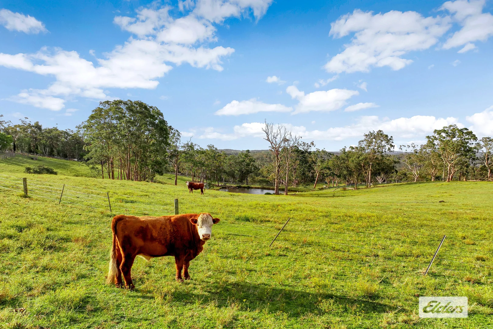 Additional image 28 of 735 Ironbark Road, Mangrove Mountain NSW 2250