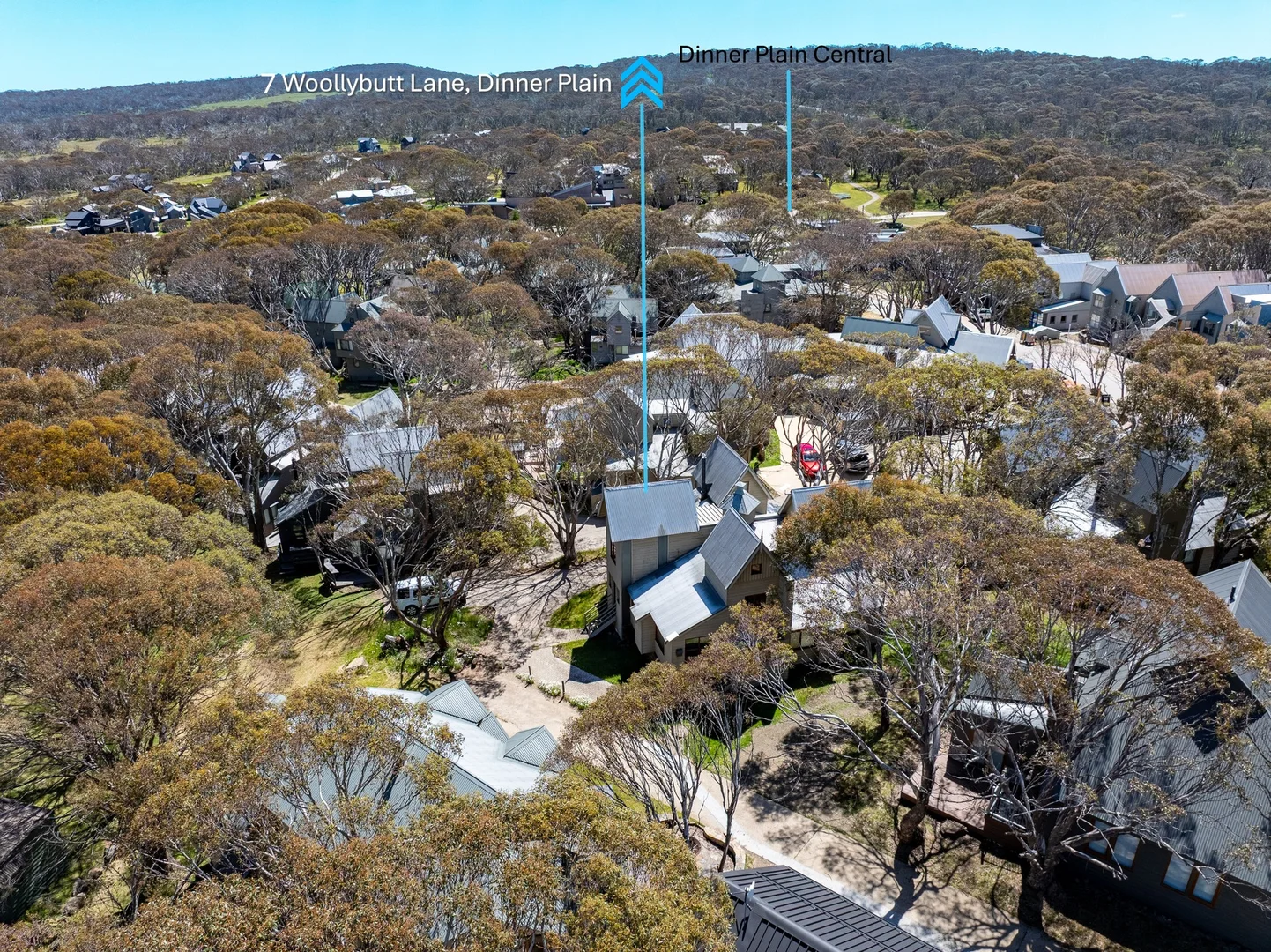 Additional image 18 of 7 Woollybutt Lane, Dinner Plain VIC 3898