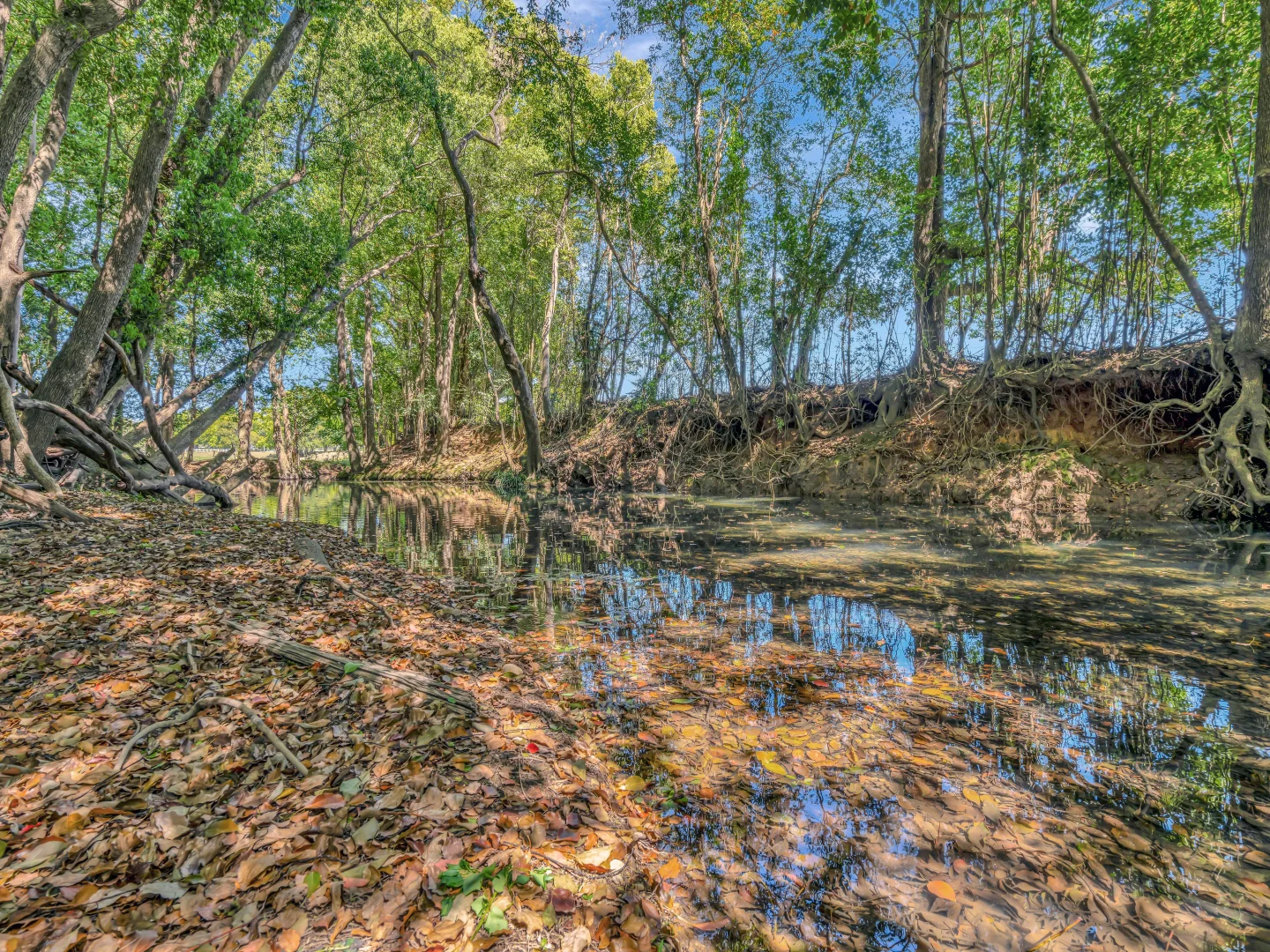 Additional image 27 of 923 Orara Way, Nana Glen NSW 2450