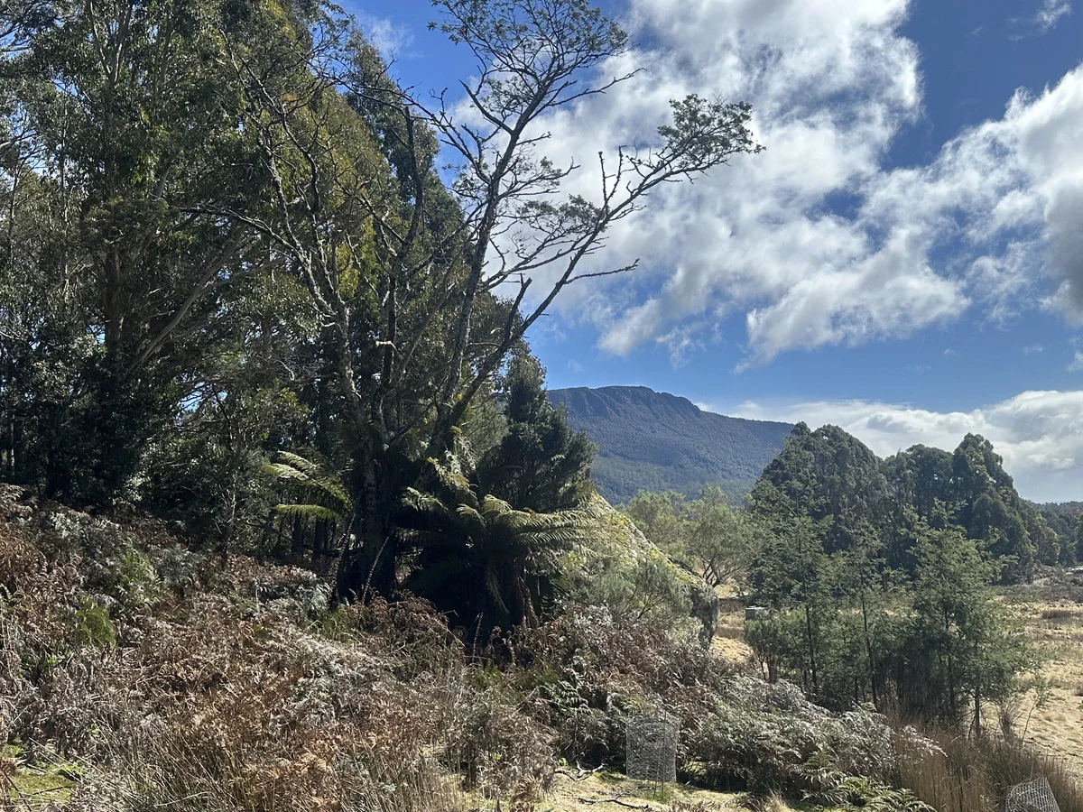 Additional image 14 of 12627 Highland Lakes Road, Golden Valley TAS 7304