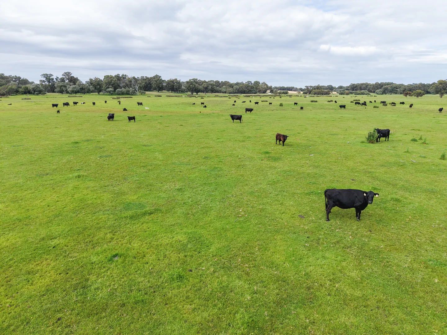 Additional image 5 of 1498, 1504 Harris Road, Myalup WA 6220