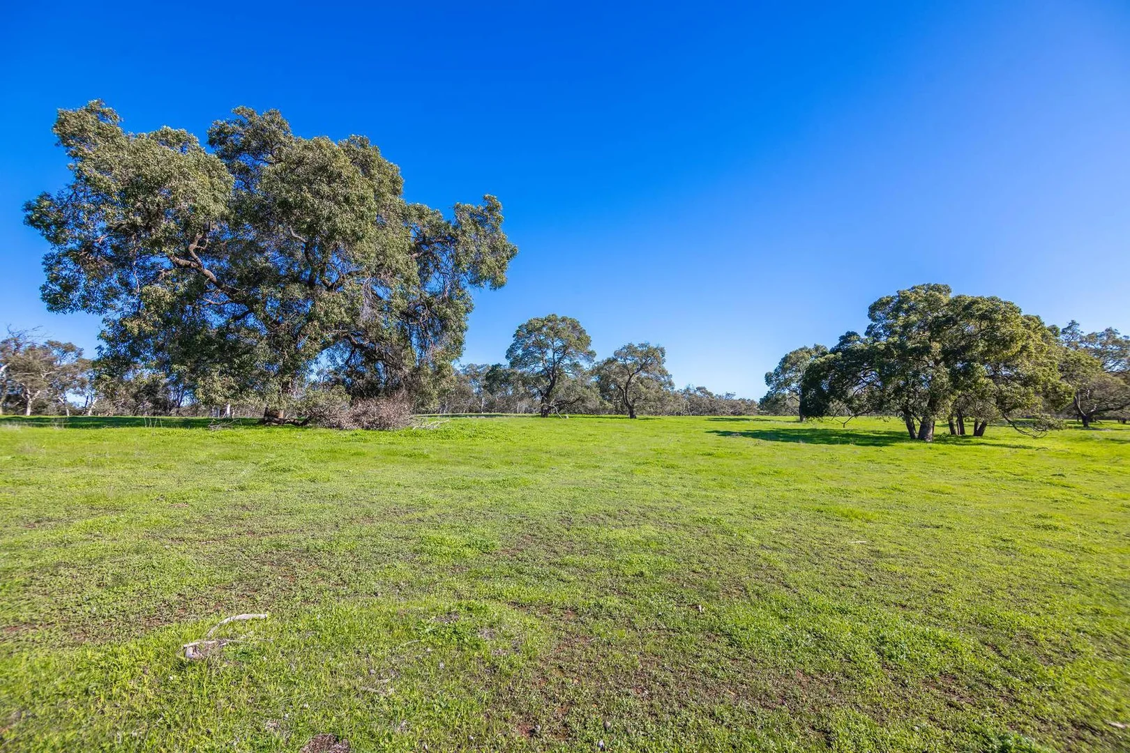 Additional image 14 of 55 Pen Road, Warradarge WA 6518
