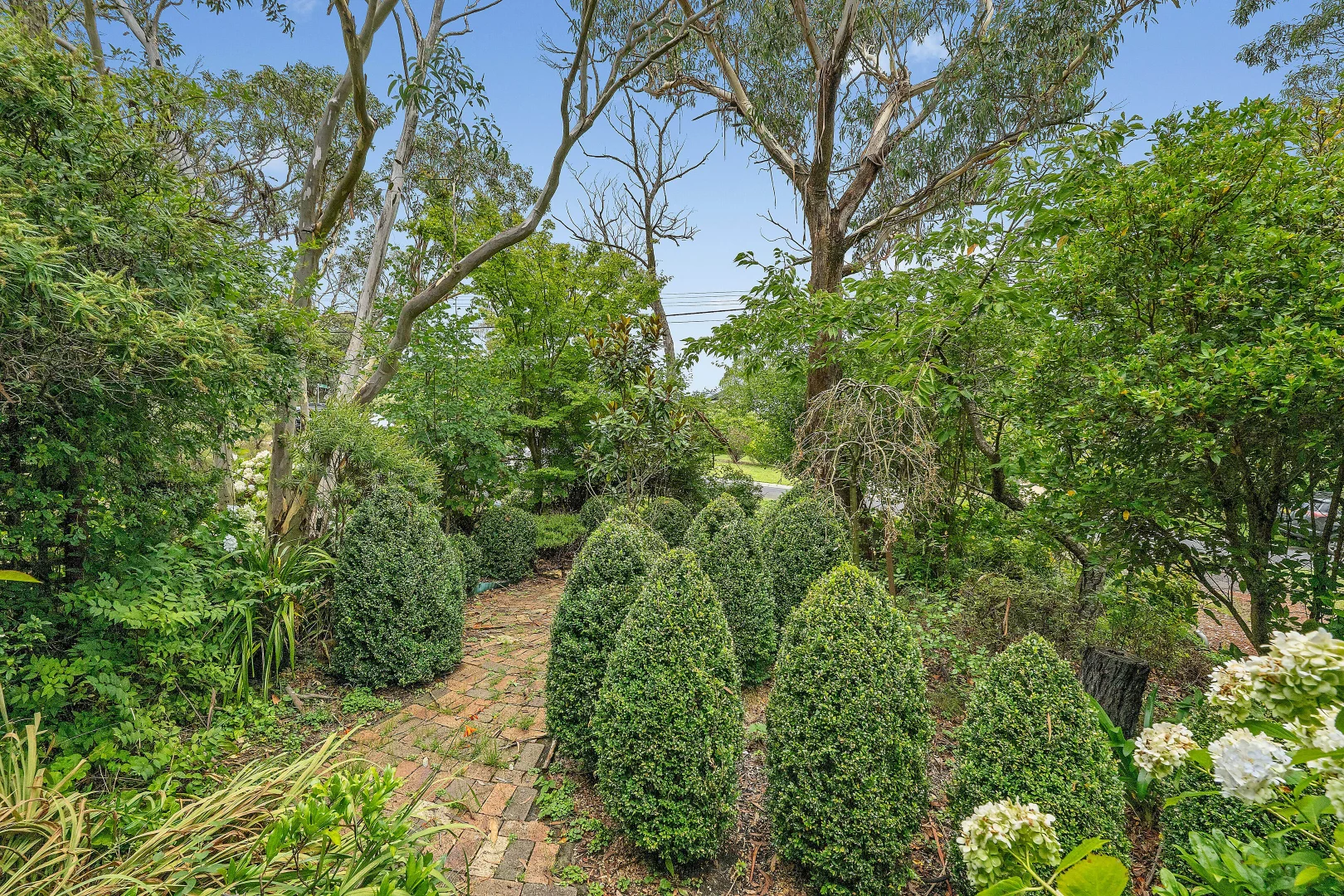 Additional image 11 of 71 Victoria Street, Mount Victoria NSW 2786