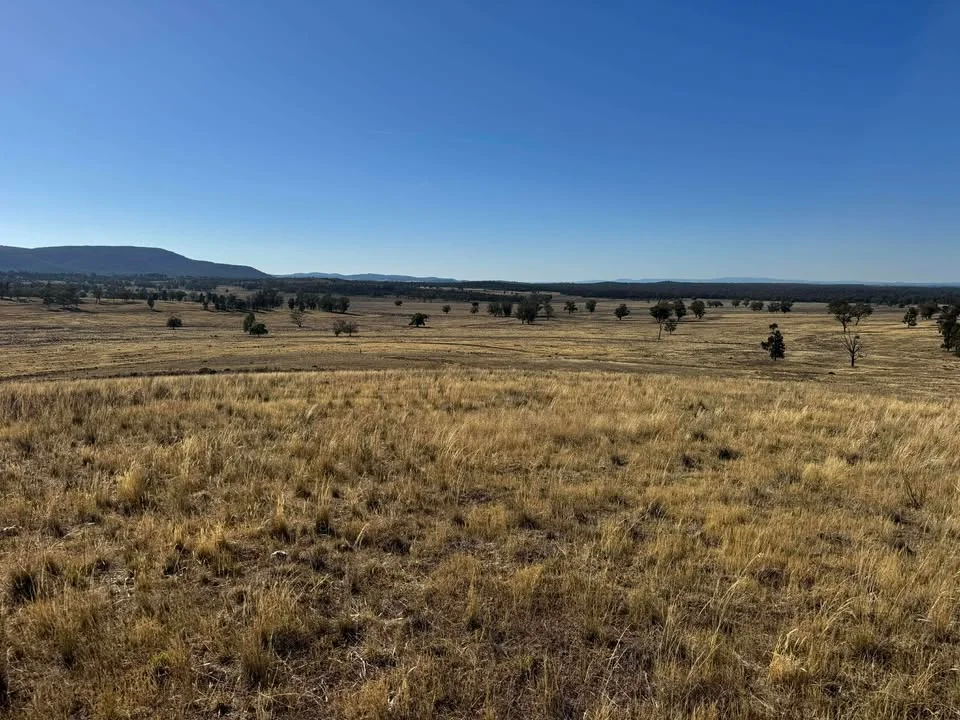 Additional image 7 of 117 Hillside Lane, Parkes NSW 2870