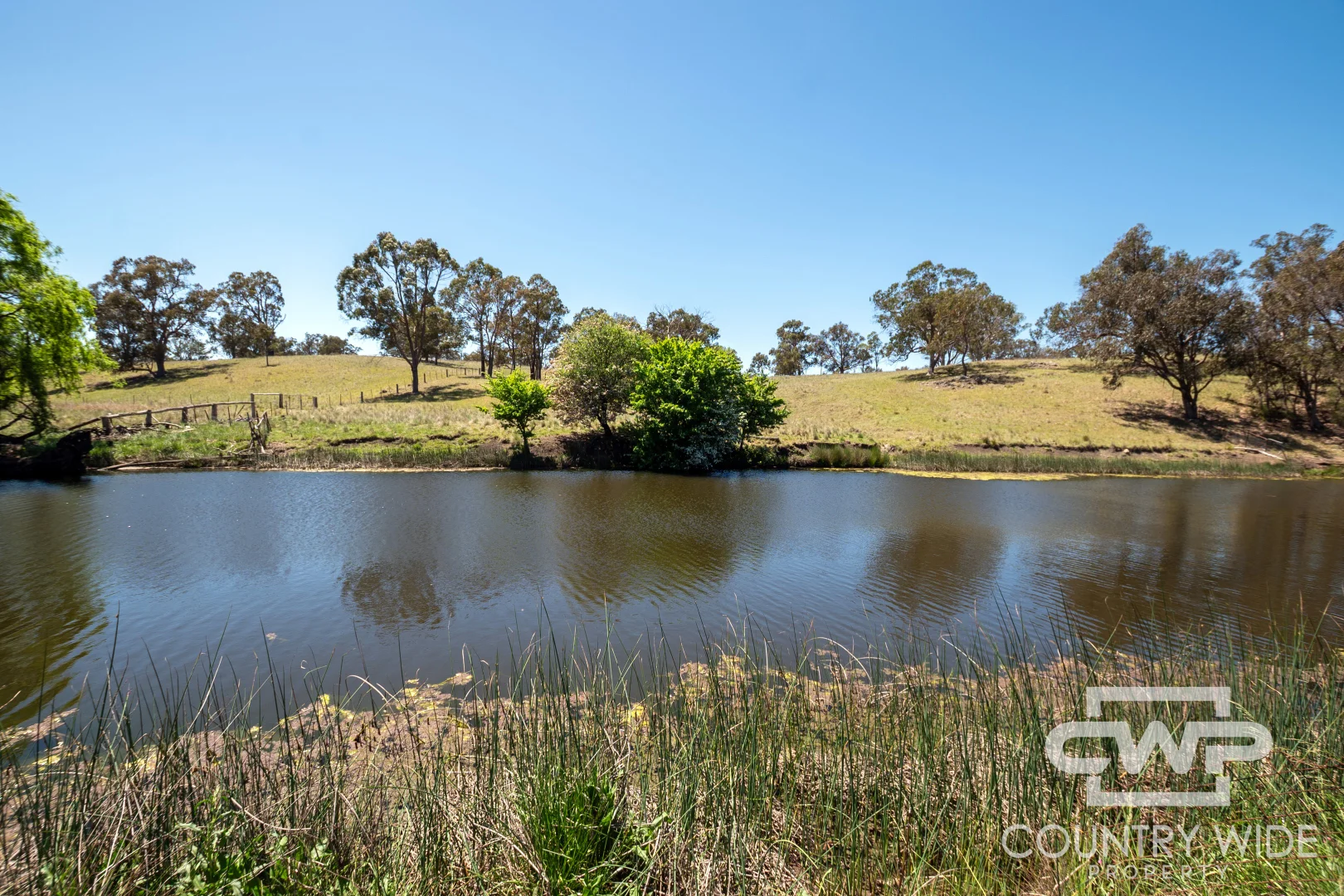 Additional image 31 of 954 Bullock Mountain Road, Glen Innes NSW 2370