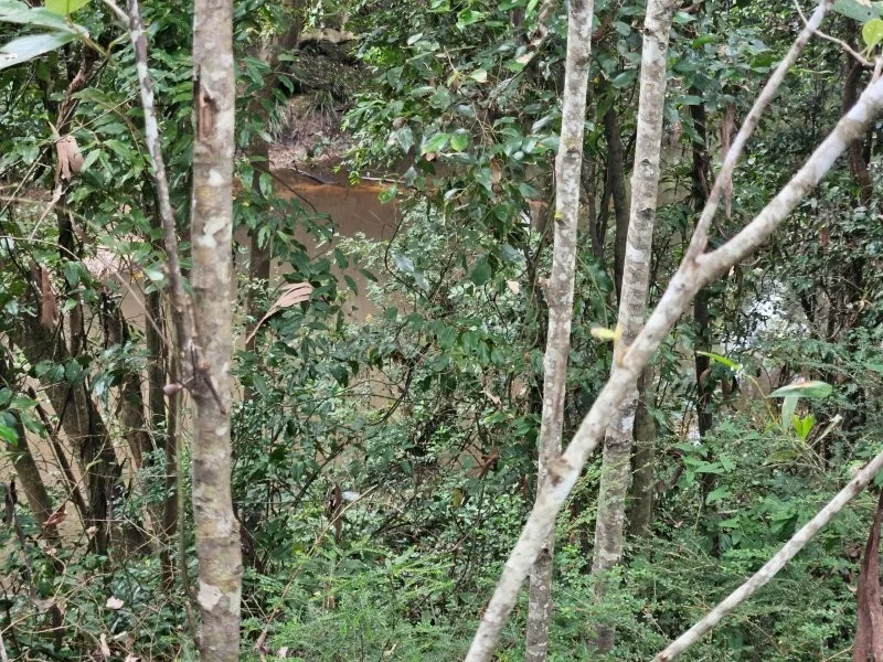 Additional image 16 of 0 Davis Road, Bauple Forest QLD 4650