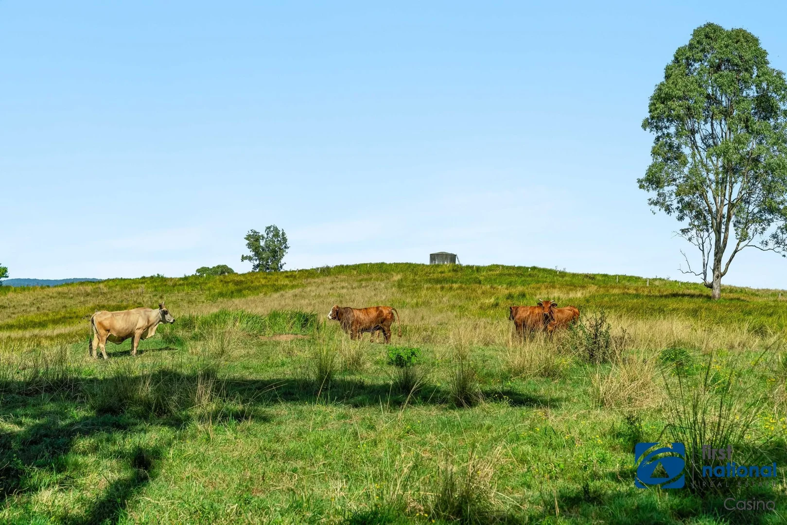 Additional image 16 of 1130-1158 Dyraaba Road, Dyraaba NSW 2470