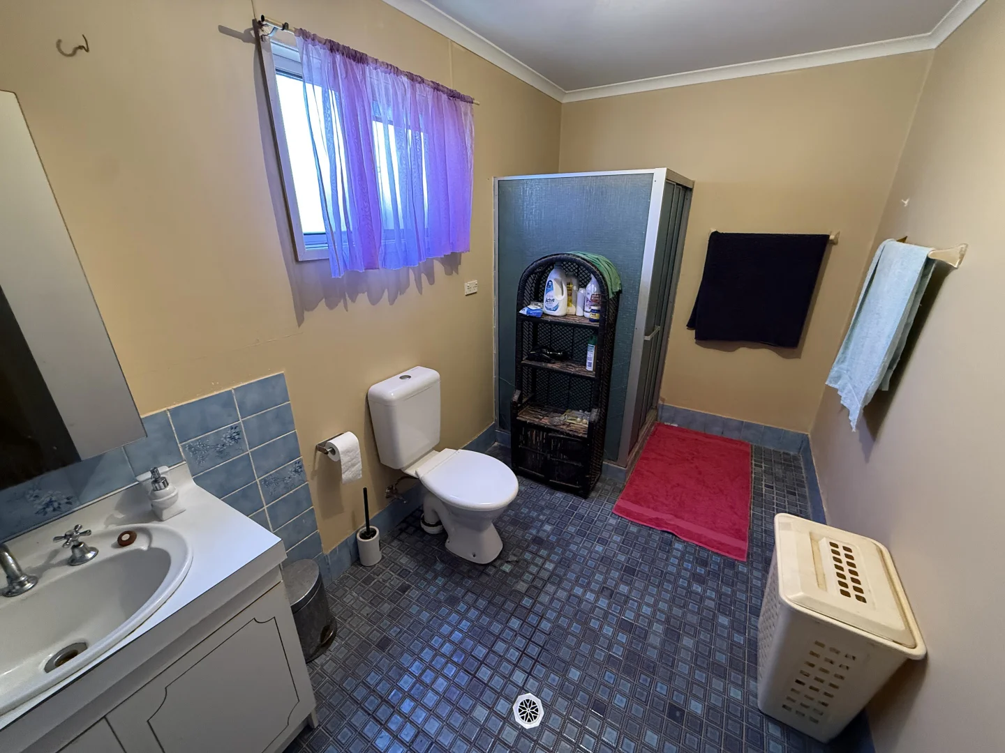Additional image 6 of 28 Oxley Street, Condobolin NSW 2877