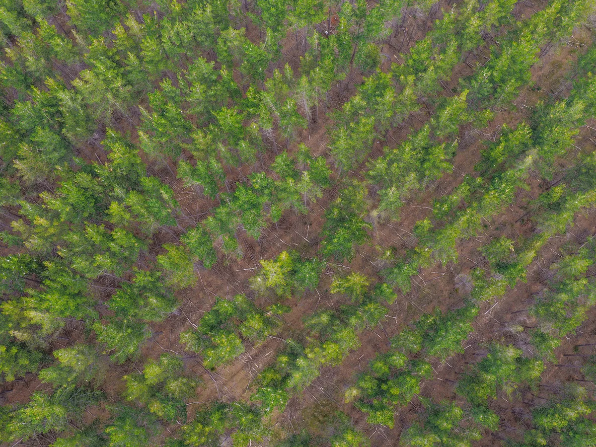 Additional image 18 of 179 Cluan Road, Cluan TAS 7303