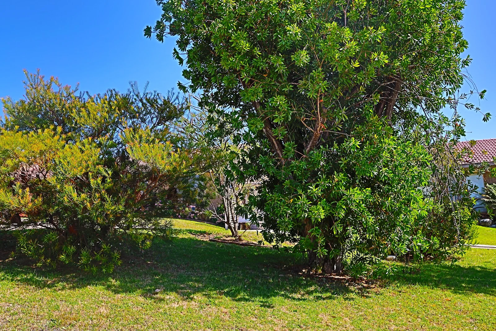 Additional image 16 of 18/11 Payne Street, Narooma NSW 2546
