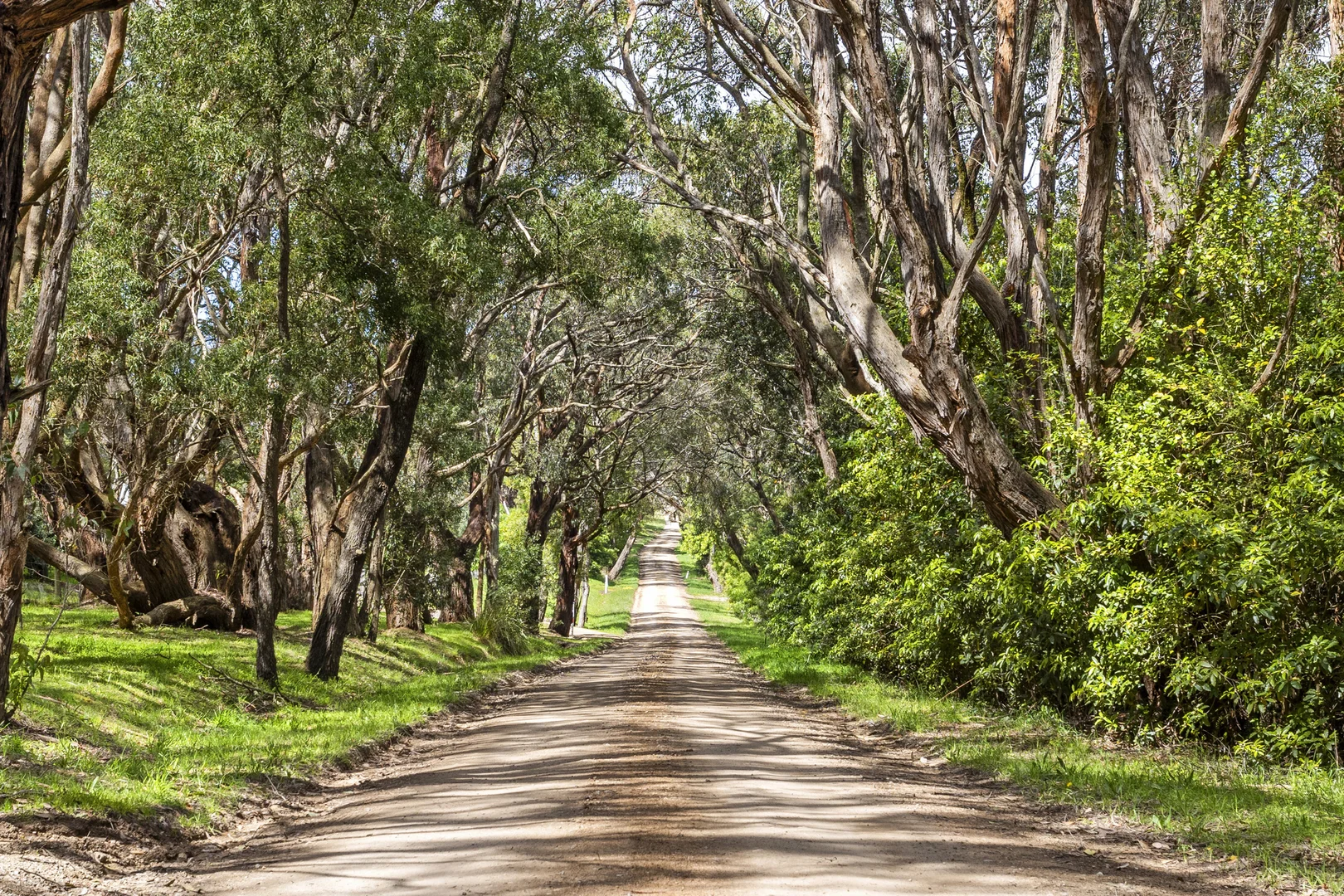 Additional image 3 of 51 Whitehall Road, Flinders VIC 3929