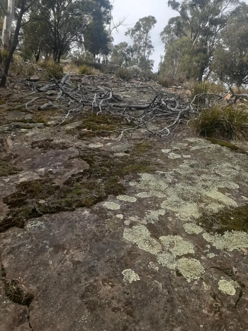 Additional image 11 of 1356 Tea Tree Rd, Campania TAS 7026