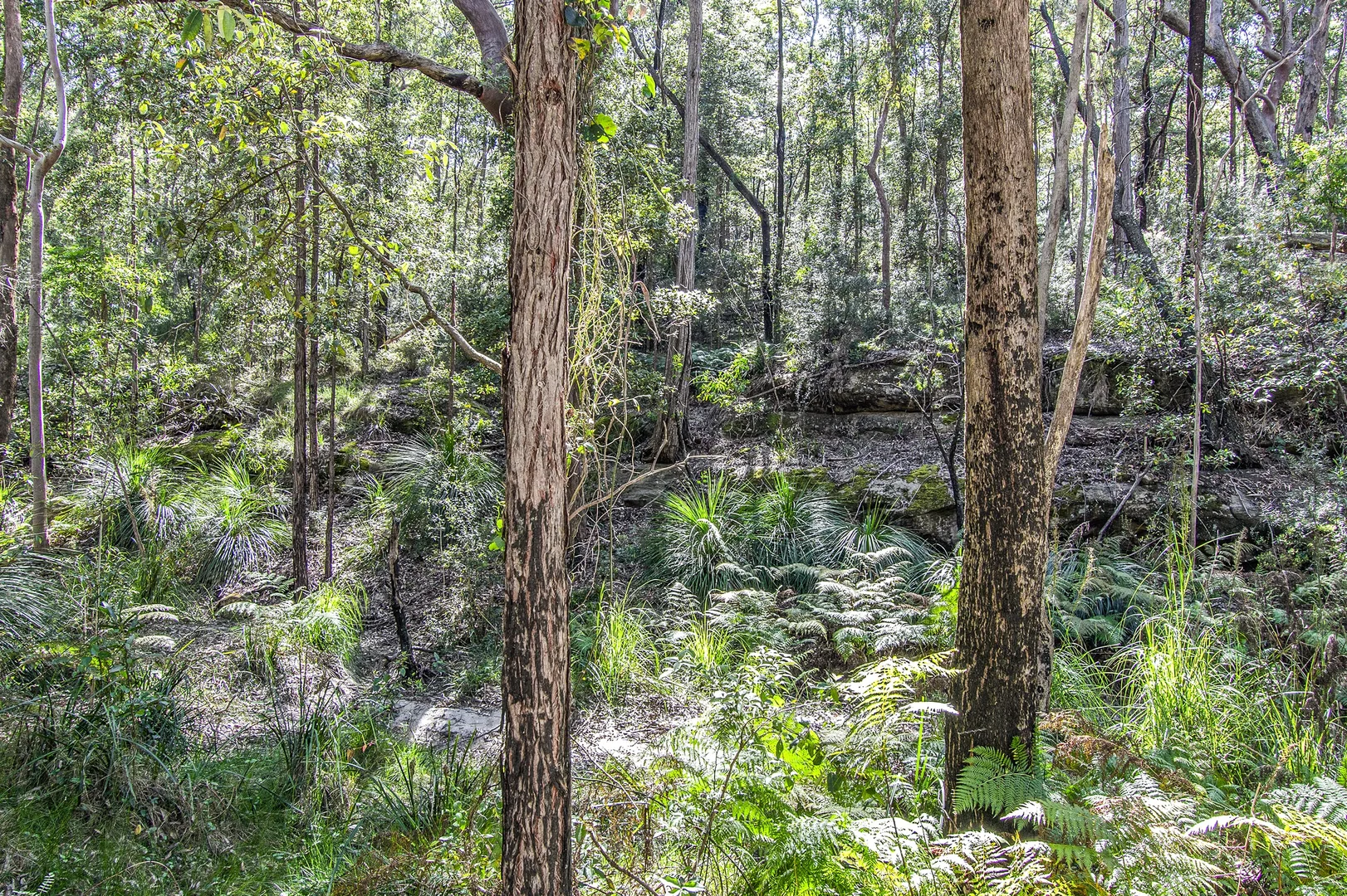 Additional image 9 of 167 Burralow Road, Kurrajong Heights NSW 2758