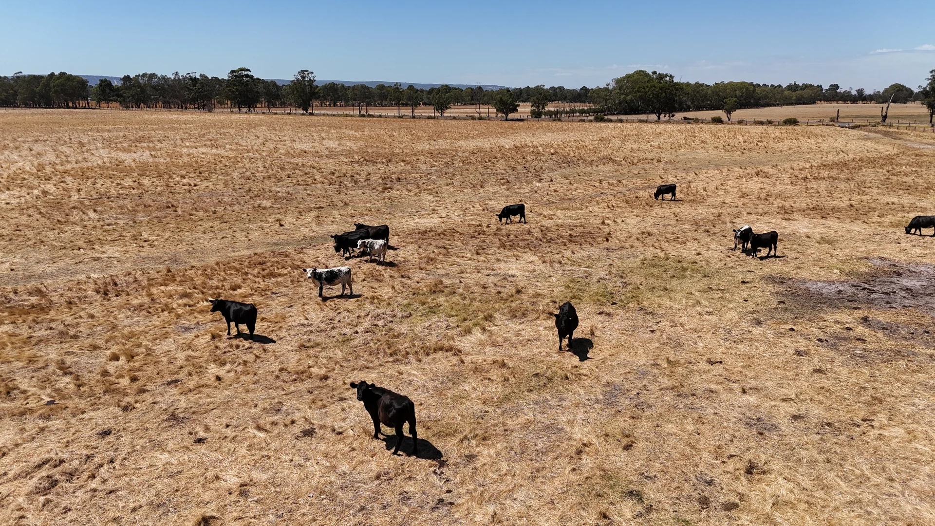 Additional image 10 of Lot 9 Coronation Road, Waroona WA 6215