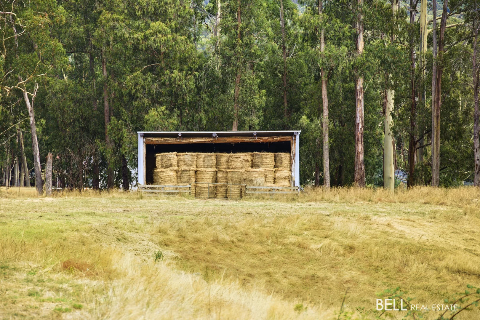 Additional image 7 of 1115 Little Yarra Road, Three Bridges VIC 3797