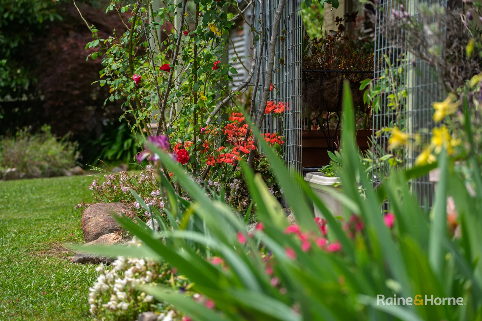 Additional image 24 of 470 Silent Grove Road, Torrington NSW 2371