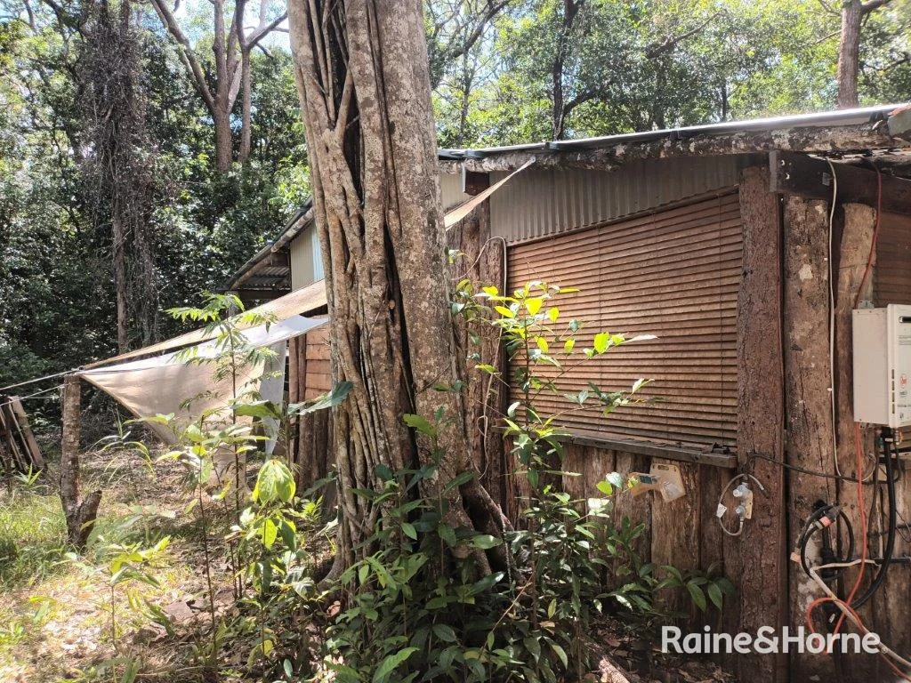 Additional image 18 of Lot 249 White Beech Road, Cow Bay, Daintree QLD 4873