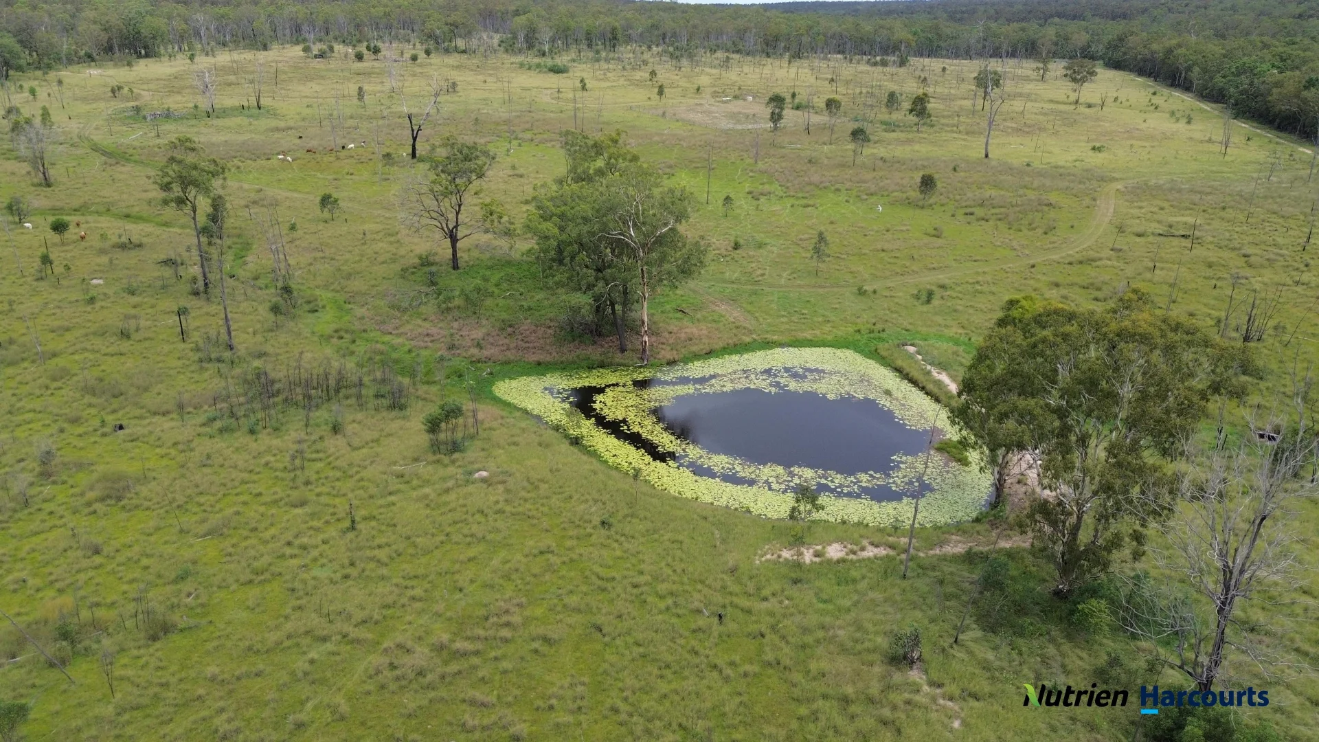 Additional image 14 of 754 Pedersens Road, Dangore QLD 4610