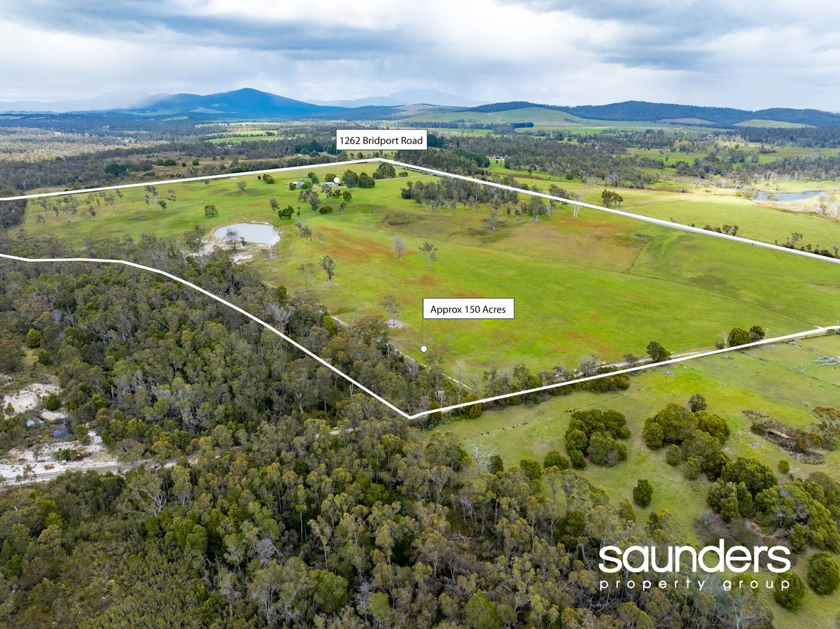 Additional image 10 of 1262 Bridport Road, Bridport TAS 7262