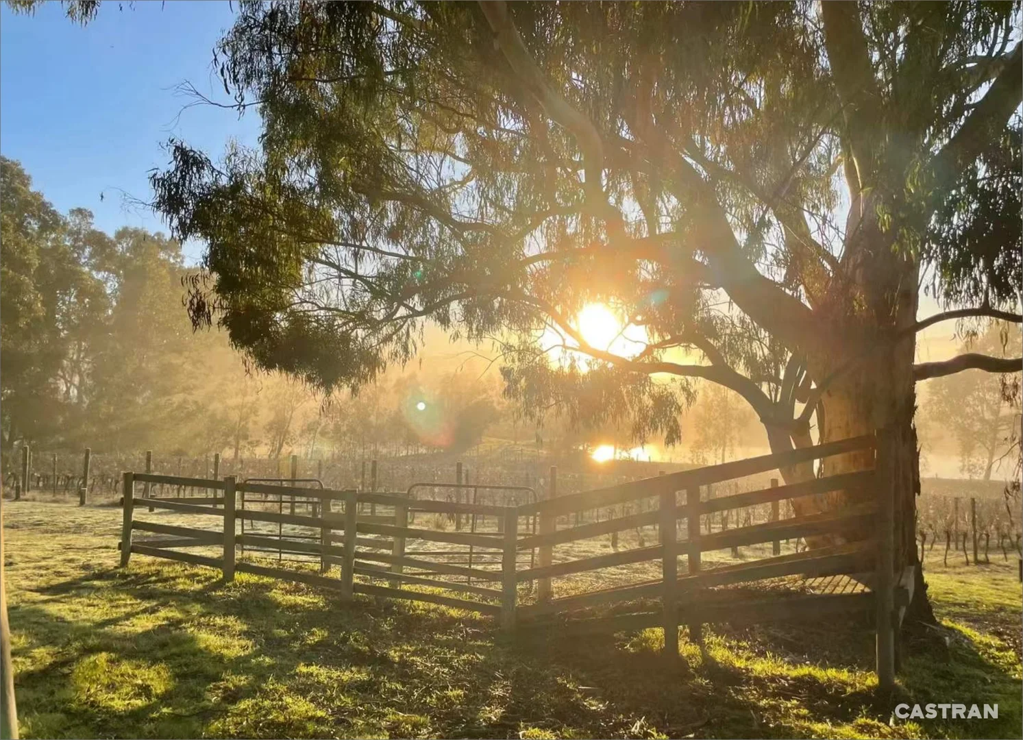 Additional image 33 of 110 Wills Road, Dixons Creek VIC 3775