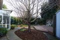 Additional image 26 of 110 Valle Vista Pl, Woodland, CA, 95695