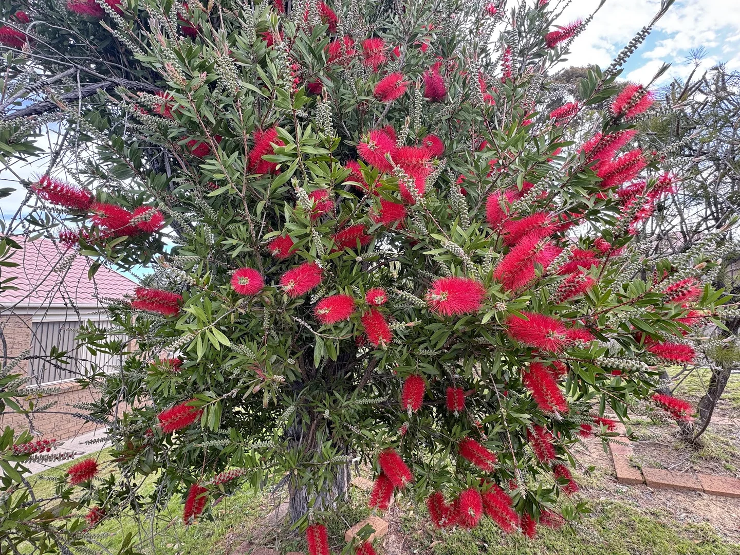 Additional image 7 of 18/11 Payne Street, Narooma NSW 2546