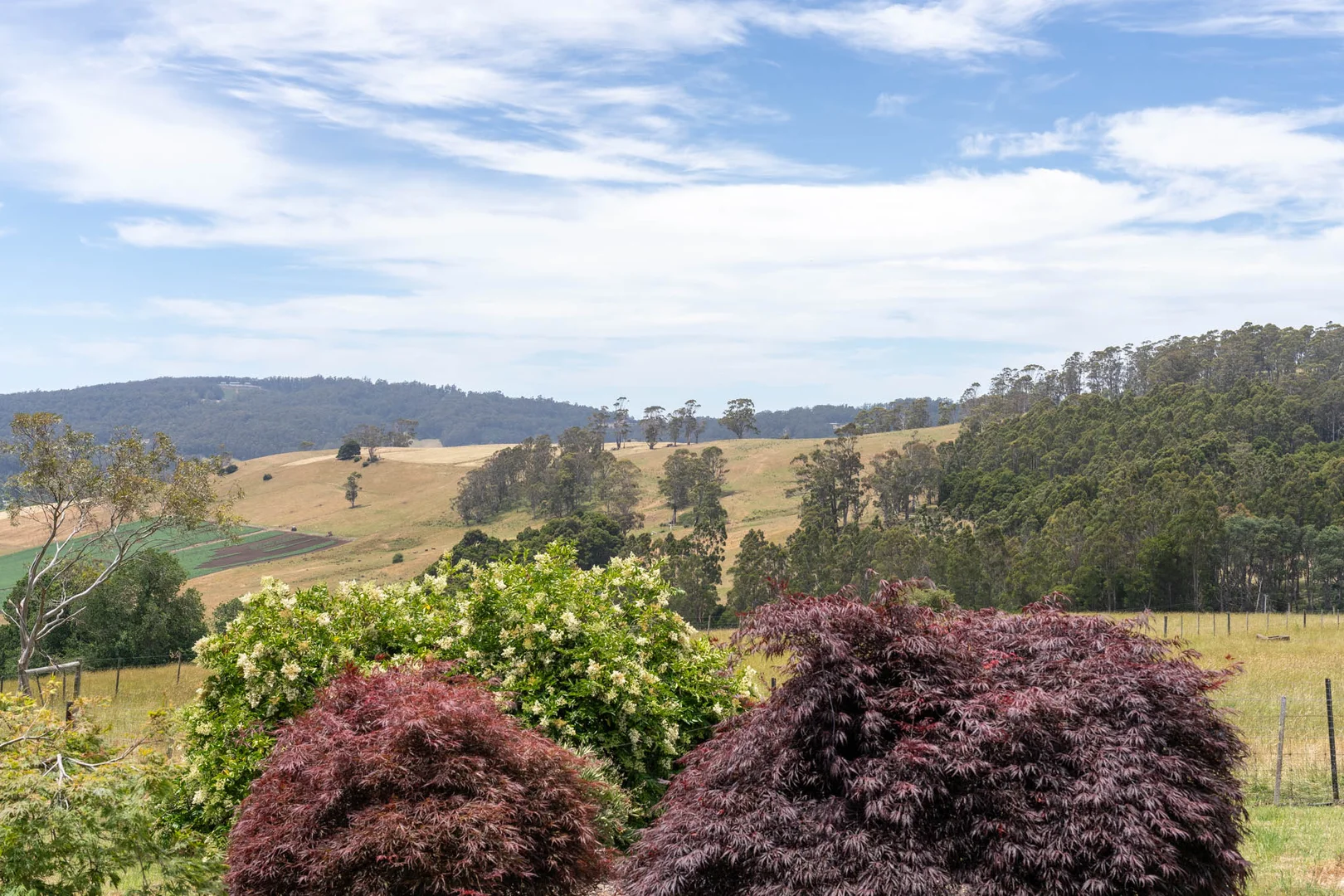 Additional image 32 of 74 Morris Rd, Melrose TAS 7310