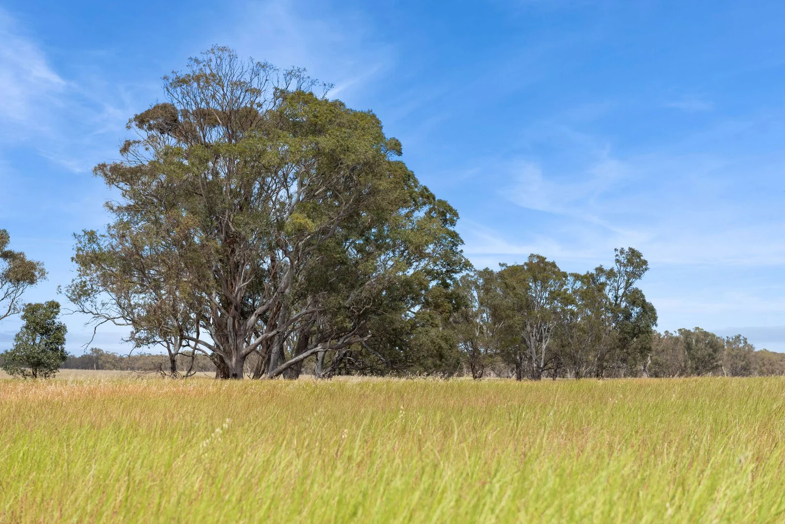 Additional image 9 of CA 15 & CA 16 Kellys Road, Kamarooka VIC 3570