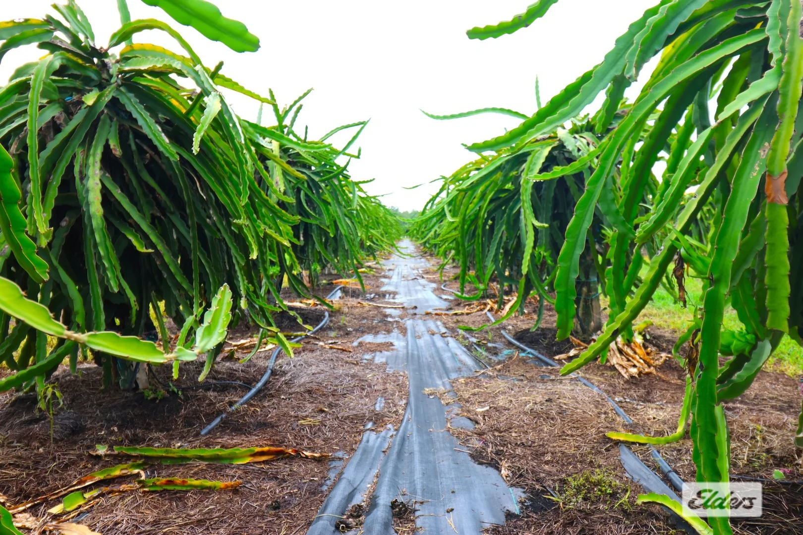 Additional image 11 of 125 Buckley Road, Lambells Lagoon NT 0822