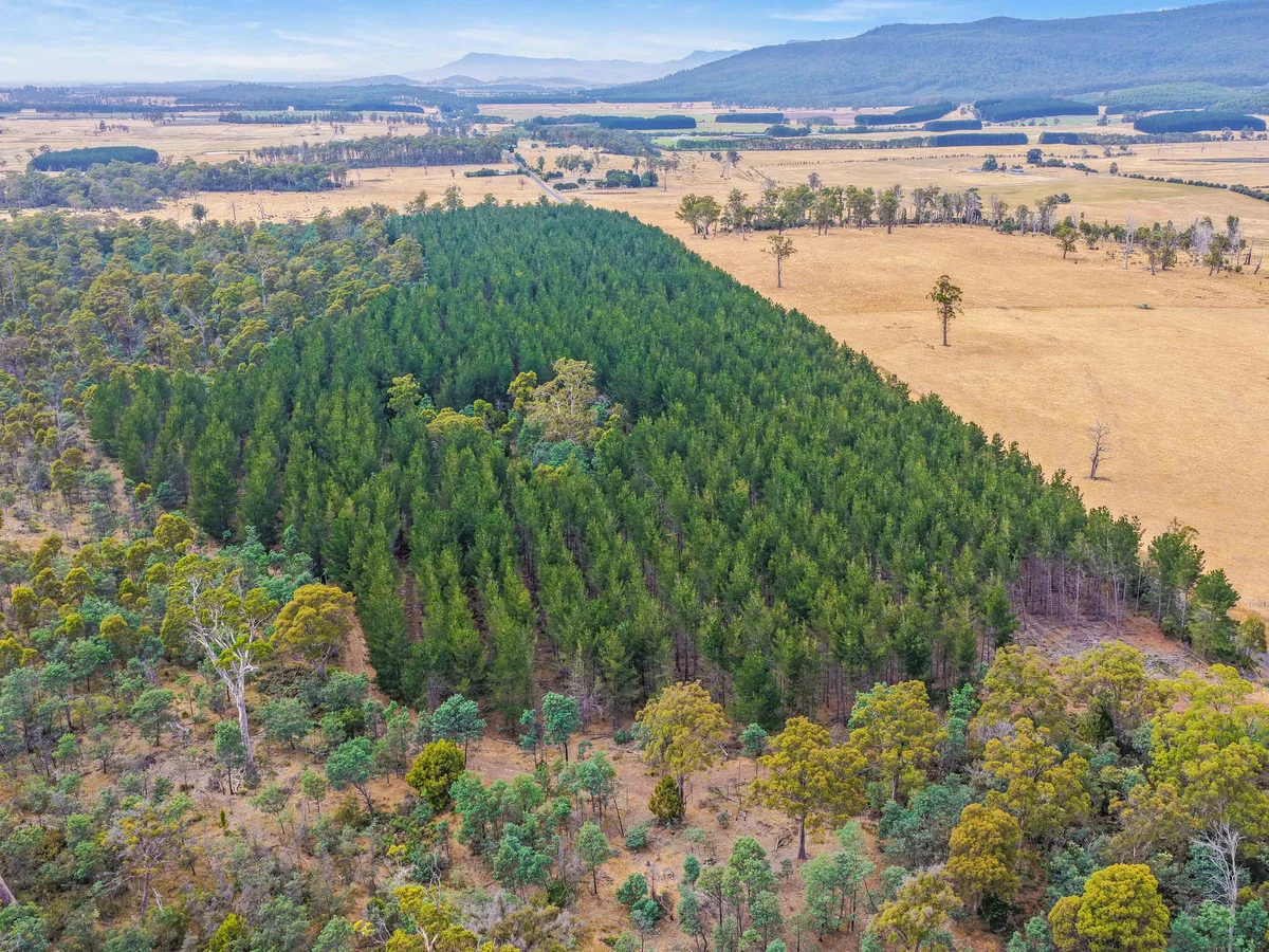 Additional image 17 of 179 Cluan Road, Cluan TAS 7303