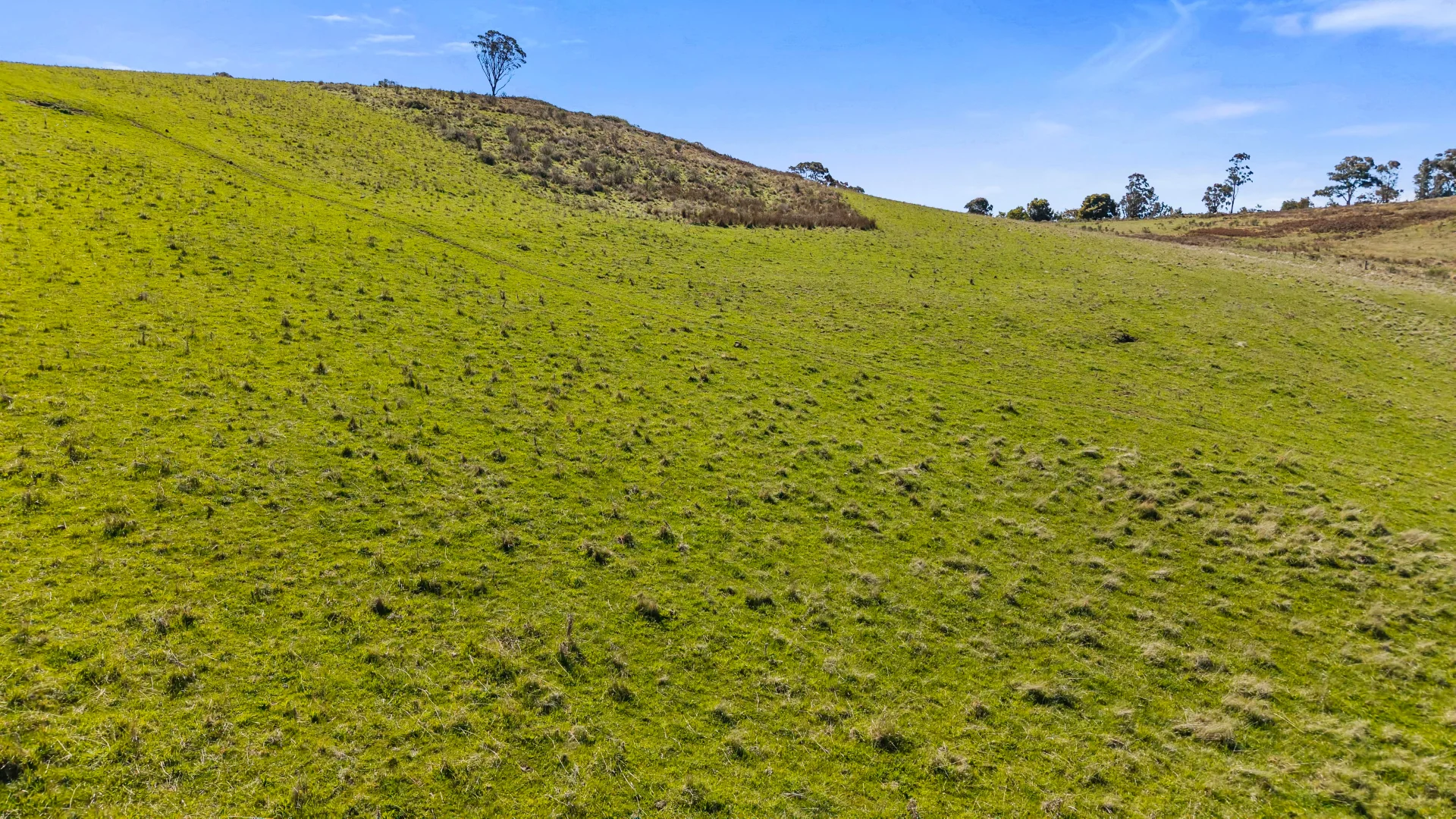 Additional image 3 of 5733-5734 Abercrombie Road, Paling Yards NSW 2580