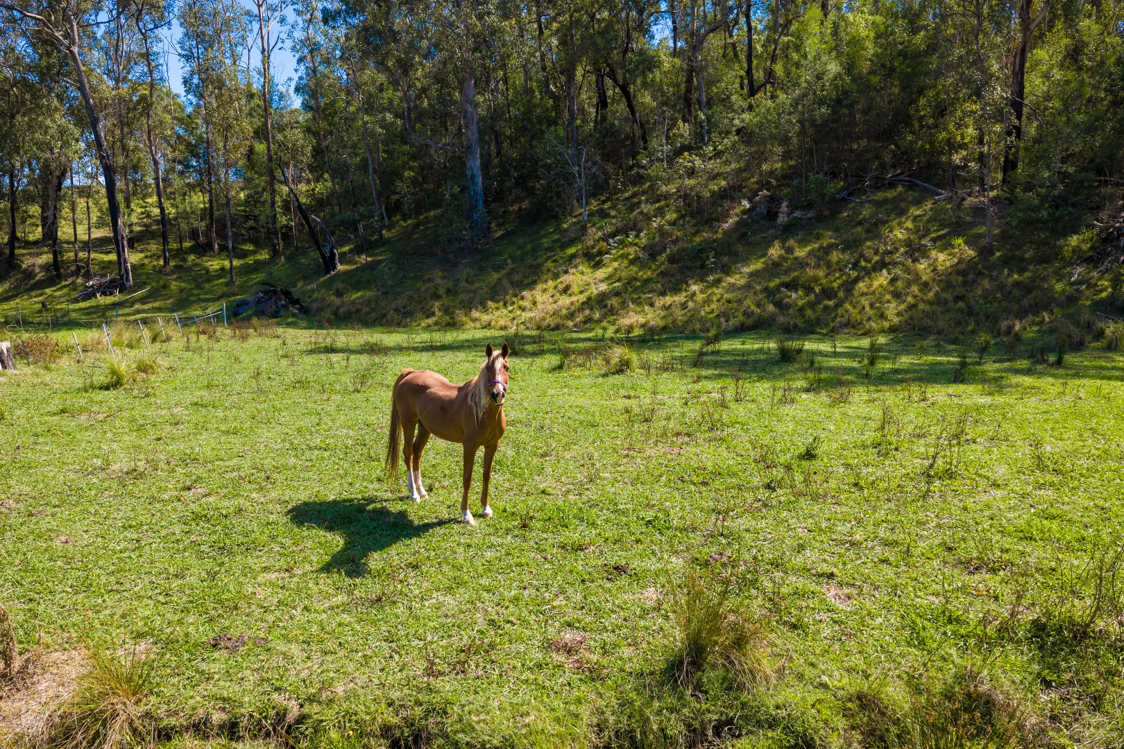 Additional image 14 of 18 Waincourt Road, Eurobodalla NSW 2545